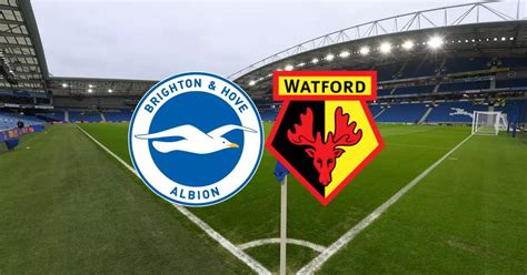watford v brighton